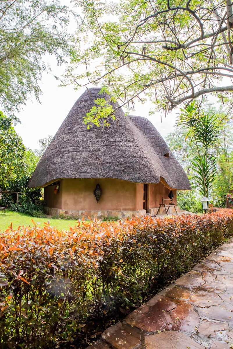A round thatched cottage behind a copper-leaved hedge, with a flagstone path running alongside