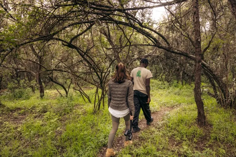 A guest and a guide walking a forest path on the reserve