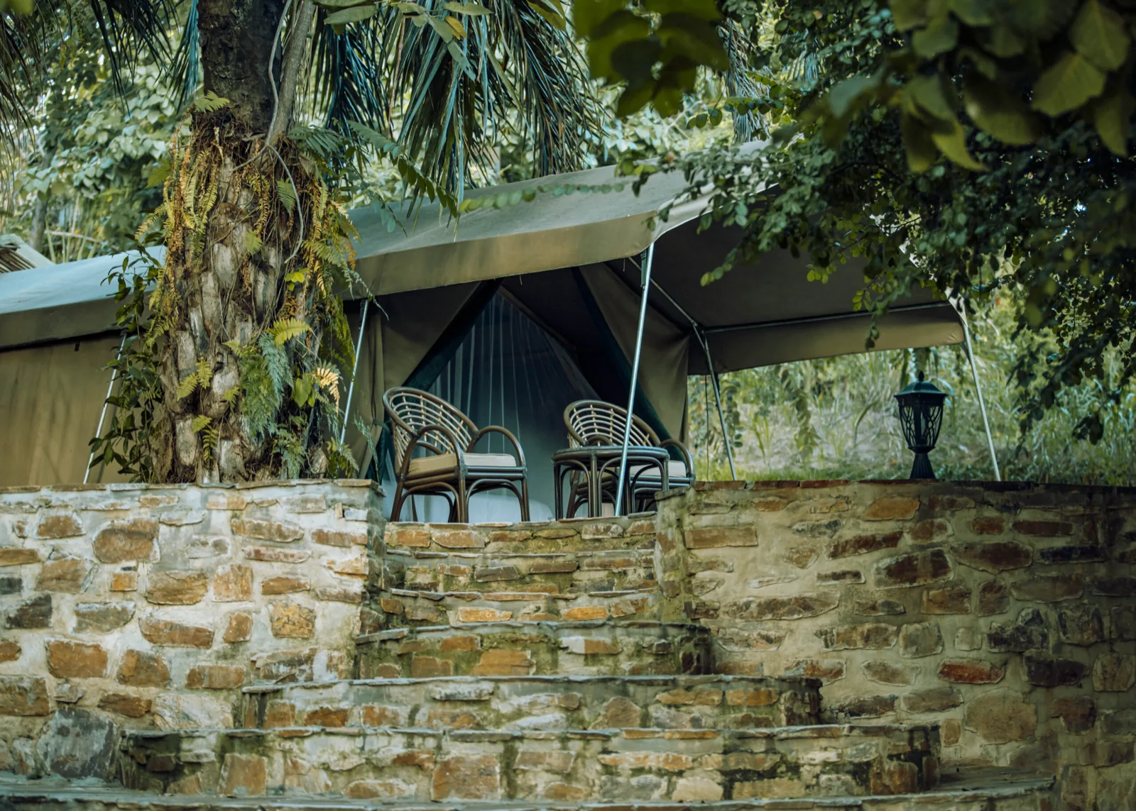 A canvas tent with rattan chairs behind a curved dry-stone wall and steps in dense greenery