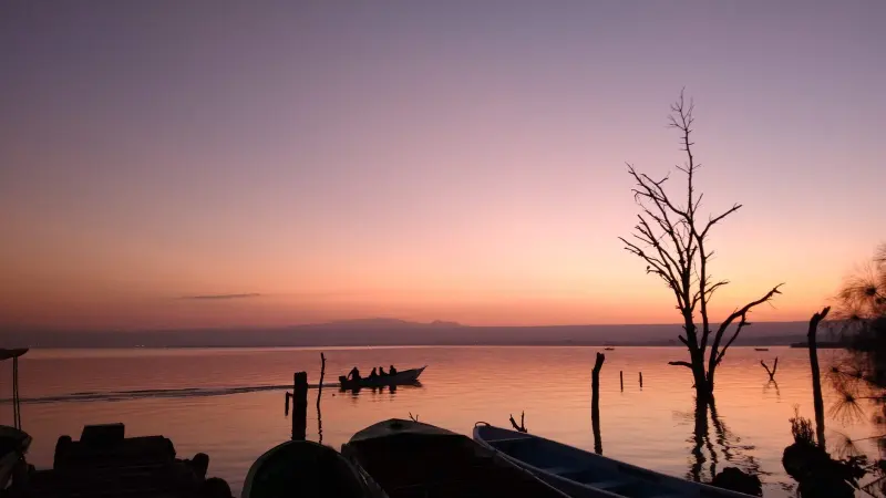 Dusk over Lake Naivasha, a fishing boat and the silhouette of a drowned acacia