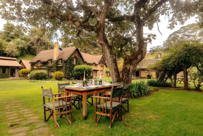 Safari chairs around a table on the lawn beneath a spreading tree
