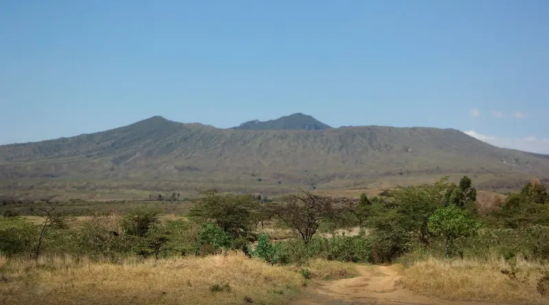 The forested ridges of the Rift Valley above golden grassland